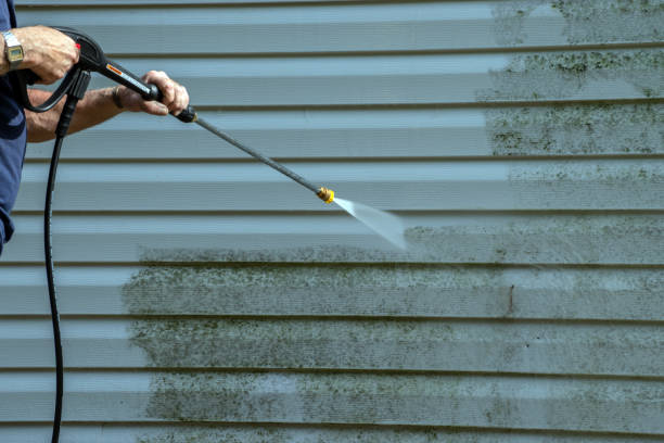 Best Solar Panel Cleaning  in Lake Catherine, IL