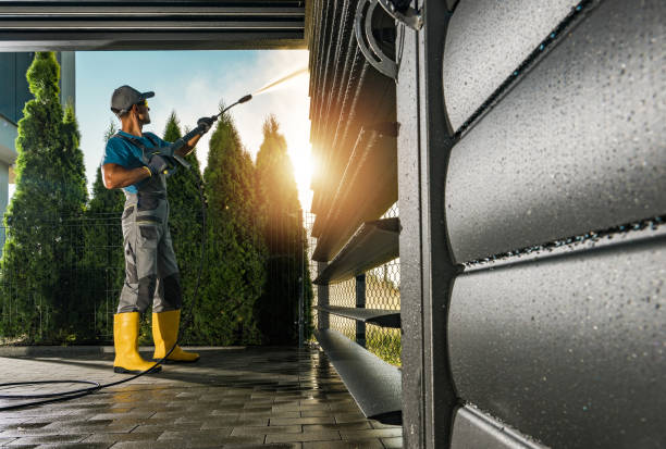 Best Sidewalk and Walkway Cleaning  in Lake Catherine, IL