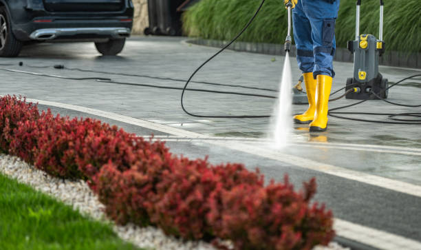 Best Driveway Pressure Washing  in Lake Catherine, IL